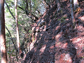 isidate021_thumb.png