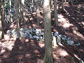 isidate033_thumb.png