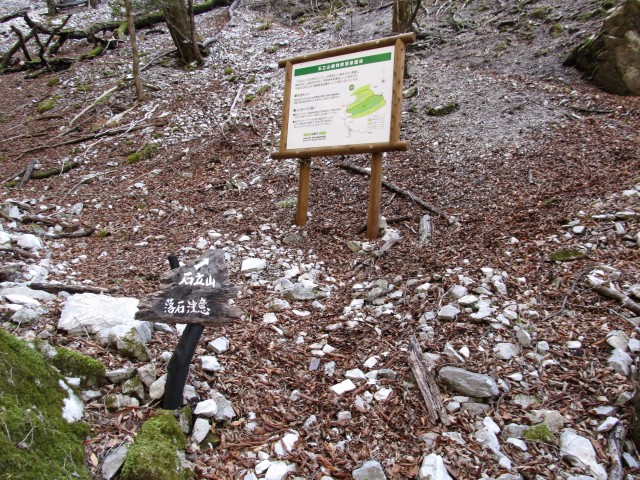 isidate037.jpg