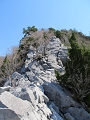 isidate056_thumb.png