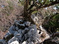 isidate059_thumb.png