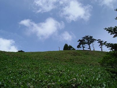 kame06.jpg