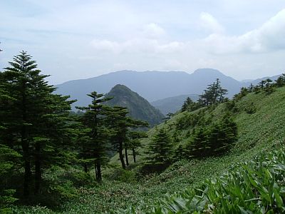 kame07.jpg