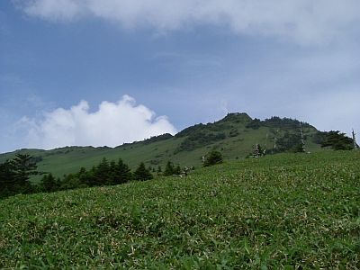 kame08.jpg