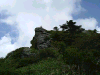 kame15_thumb.png