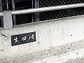 maya005_thumb.png
