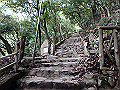 maya022_thumb.png