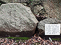 maya028_thumb.png
