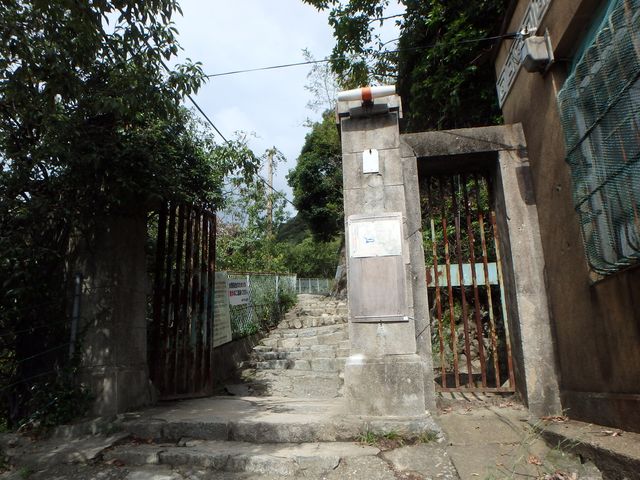 maya052.jpg
