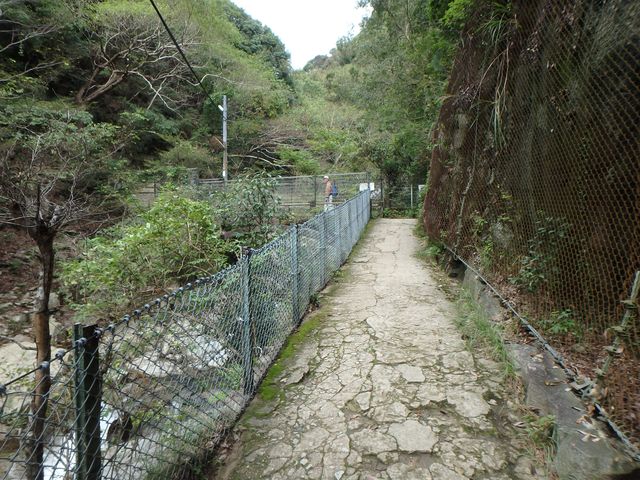 maya060.jpg