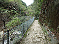 maya060_thumb.png