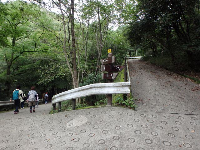 maya086.jpg