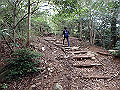 maya120_thumb.png