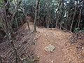 maya170_thumb.png