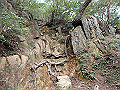 maya174_thumb.png