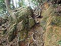 maya180_thumb.png