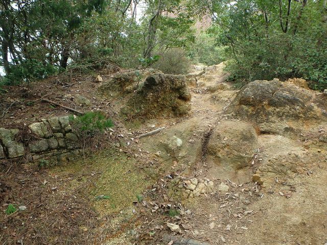 maya182.jpg