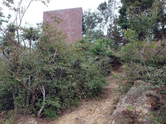 maya183.jpg