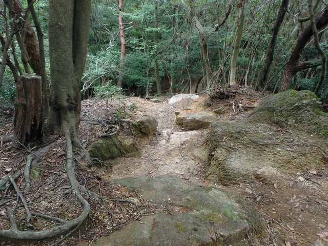 maya189.jpg