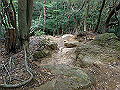 maya189_thumb.png