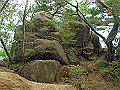maya192_thumb.png