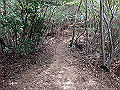 maya193_thumb.png