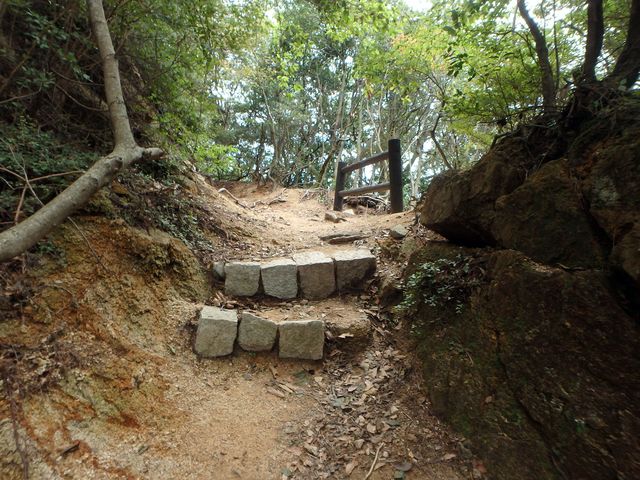 maya199.jpg