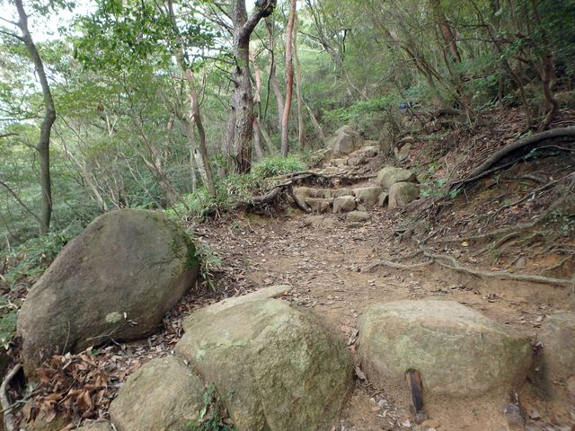 maya200.jpg