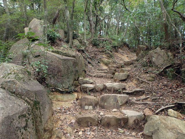 maya201.jpg