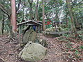 maya216_thumb.png