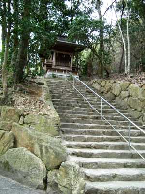 nyotai03.jpg