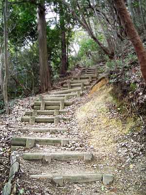nyotai05.jpg