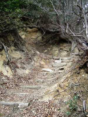 nyotai06.jpg