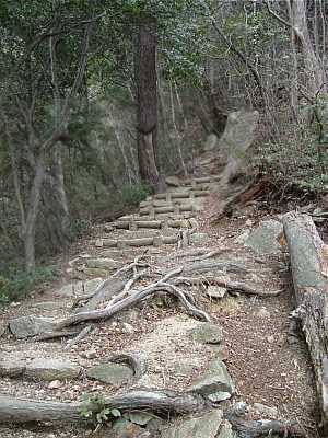 nyotai07.jpg