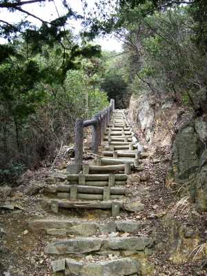 nyotai09.jpg
