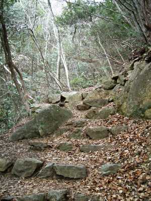 nyotai10.jpg