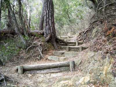 nyotai11.jpg