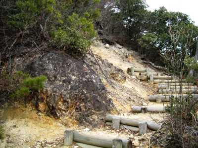 nyotai12.jpg