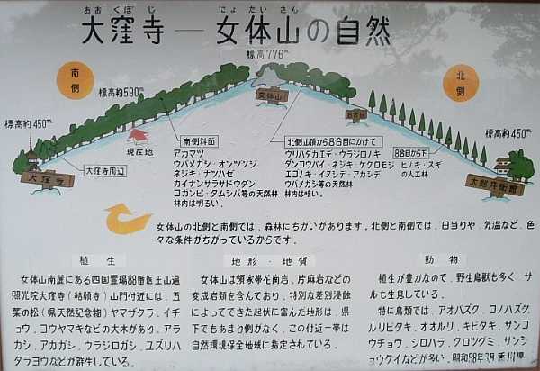 nyotai16.jpg