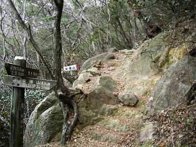 nyotai19.jpg