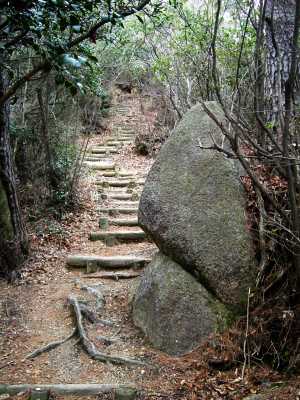 nyotai20.jpg