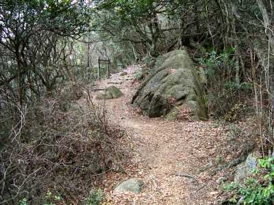 nyotai22.jpg