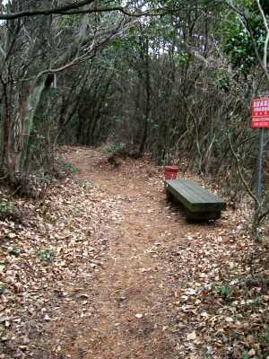 nyotai25.jpg