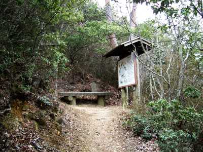 nyotai29.jpg