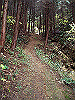ootaka03_thumb.png