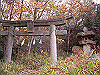 ootaka06_thumb.png