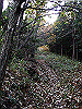 ootaka08_thumb.png
