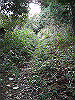 ootaka11_thumb.png