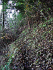 ootaka18_thumb.png