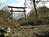 ootaka24_thumb.png